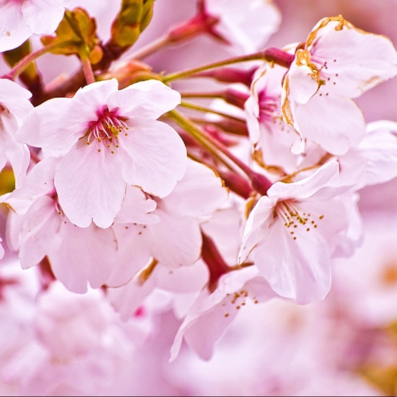 HAPPY WINTER✨❄️☃️🎄 - Picture 2 of 3